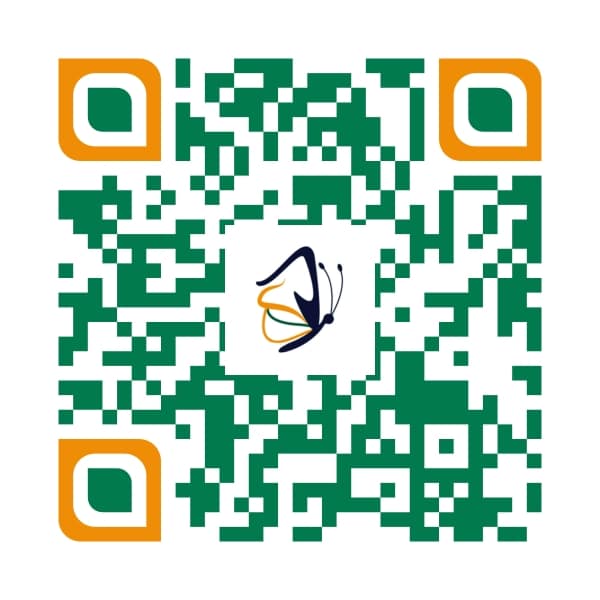 QR Code Illustration